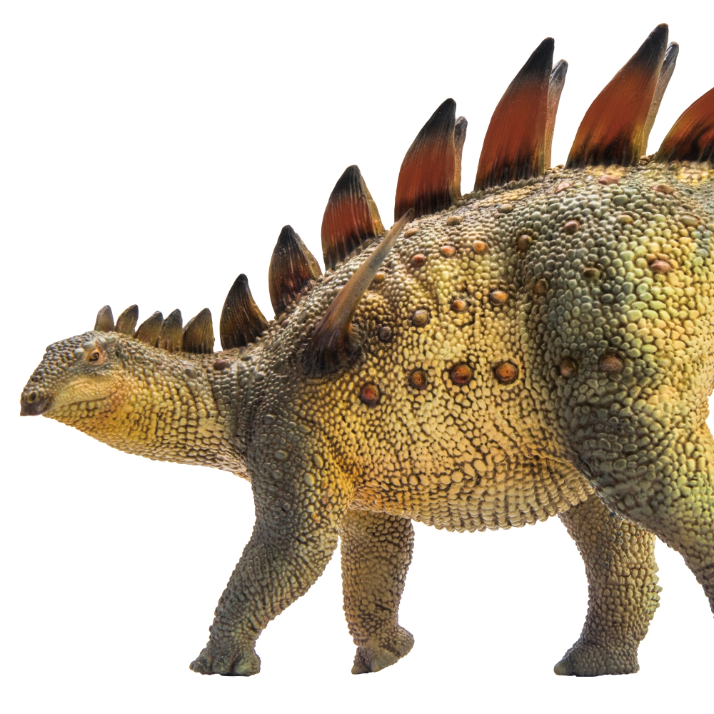 Board Game Pandemic - PNSO Prehistoric Dinosaur Models:34Qichuan The Tuojiangosaurus