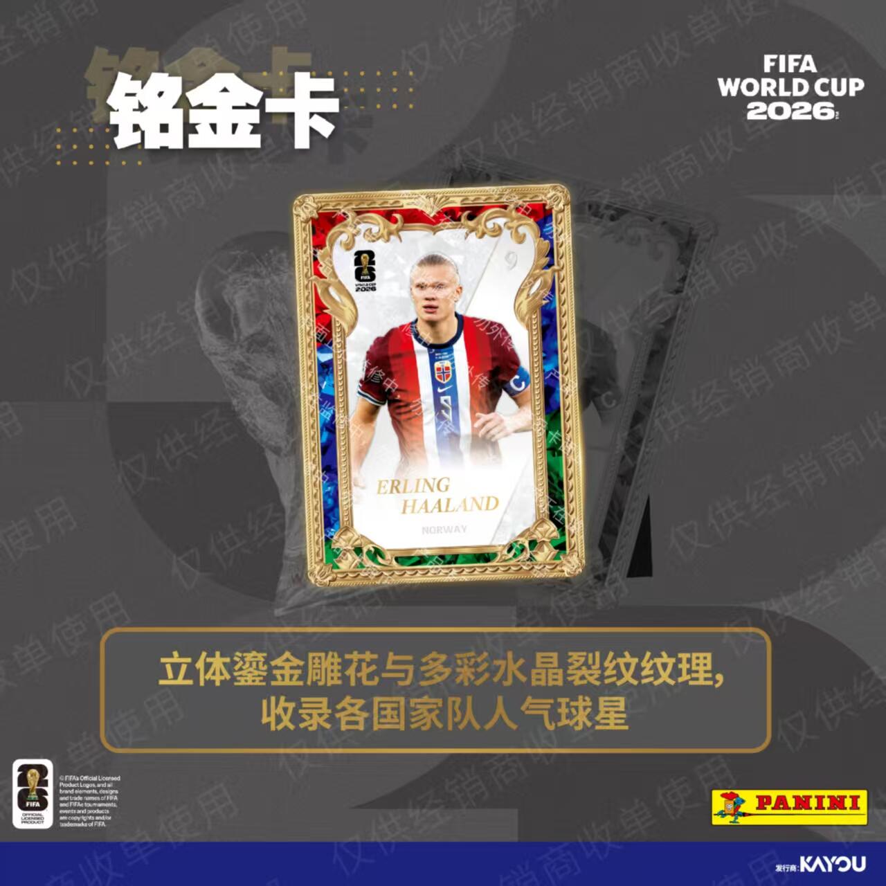 KAYOU Panini FIFA World Cup 20 - Board Game Box avaliação e preço